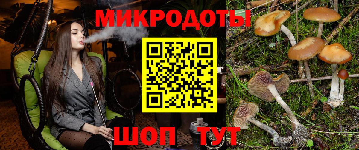 Владимир  Галлюциногенные грибы прущие грибы  Вход с VPN 