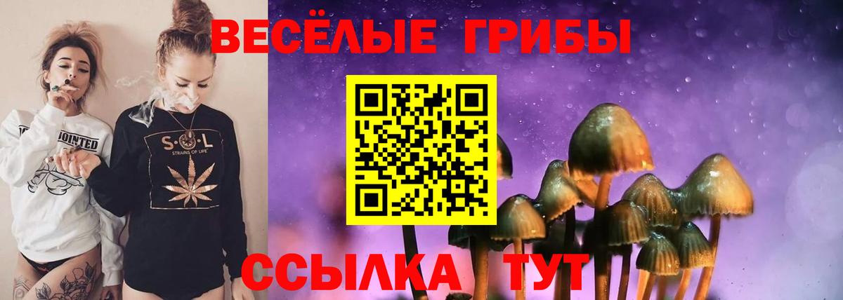 Галлюциногенные грибы прущие грибы Владимир