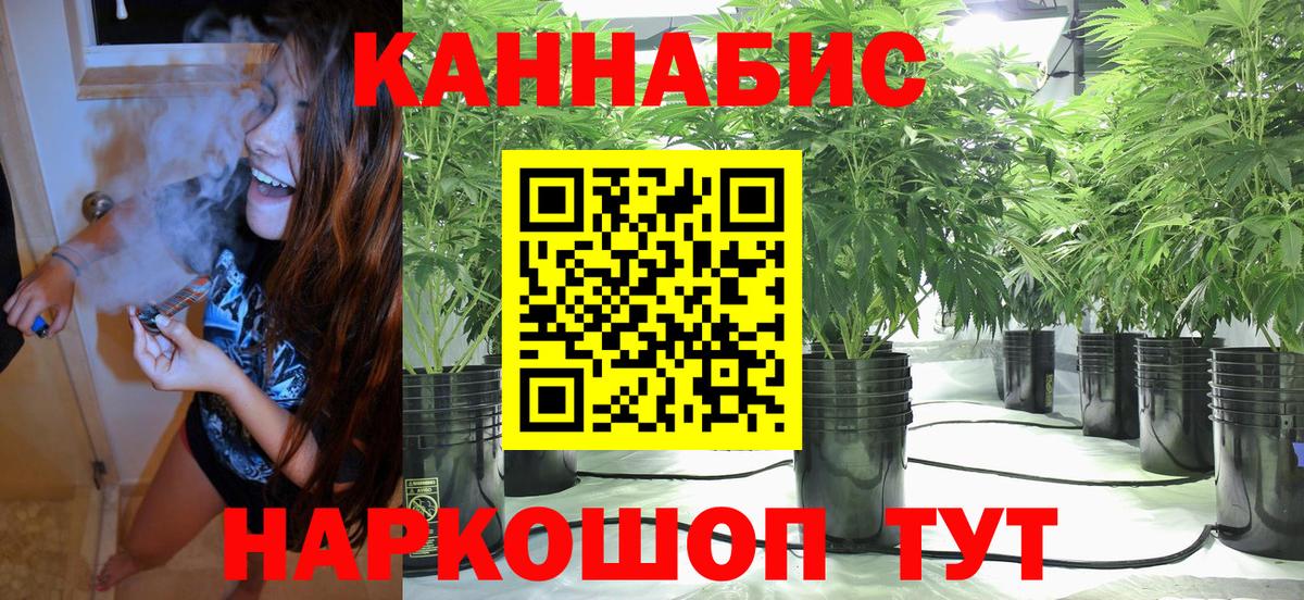 Бошки Шишки Bruce Banner Владимир